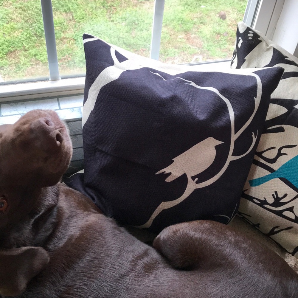 Throw Pillow cover/sealed package/never opened/NWT